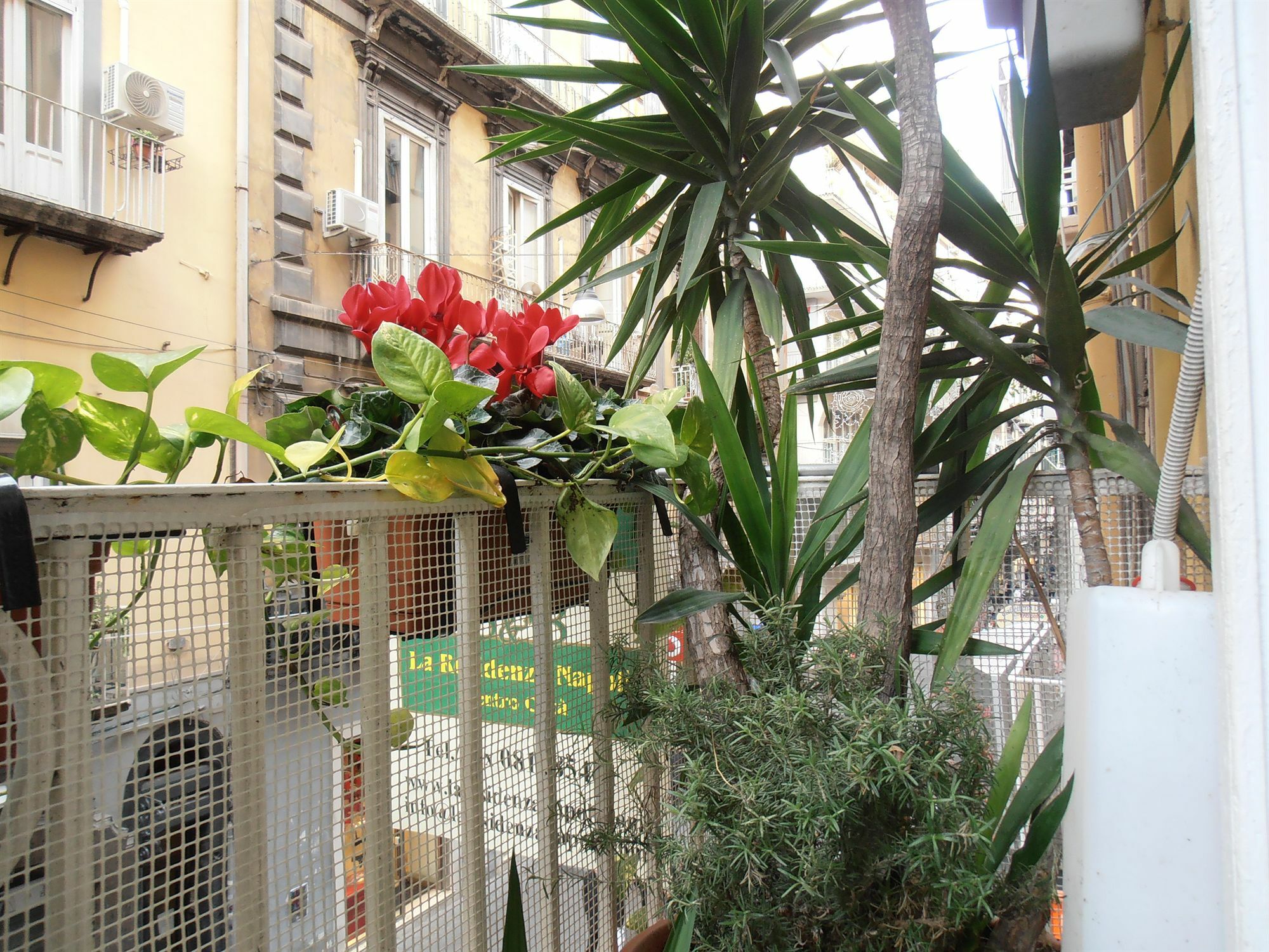Bed & Breakfast Plebiscito Home Nápoles Exterior foto